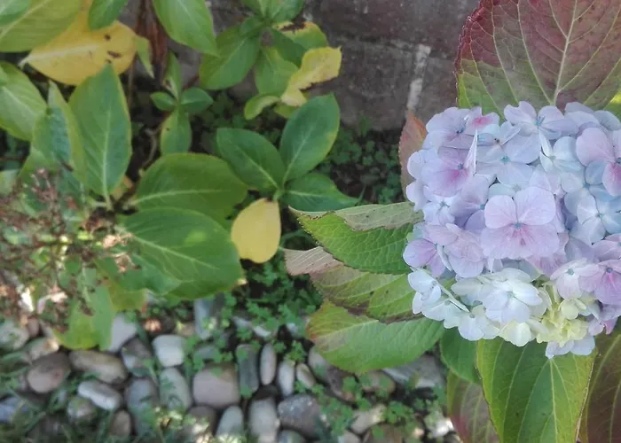 Вилла Vitoria *